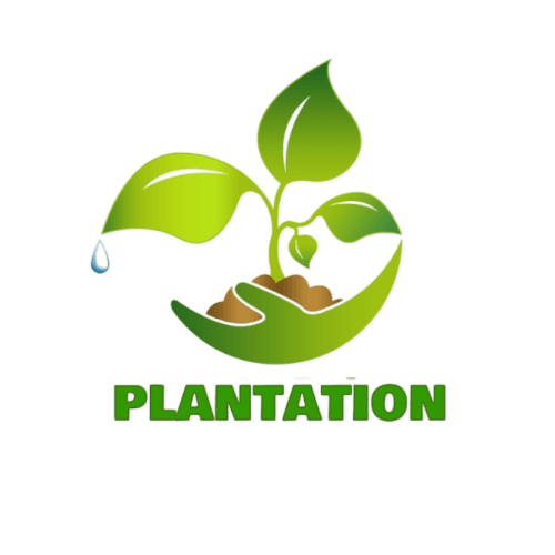 Tree Plantation